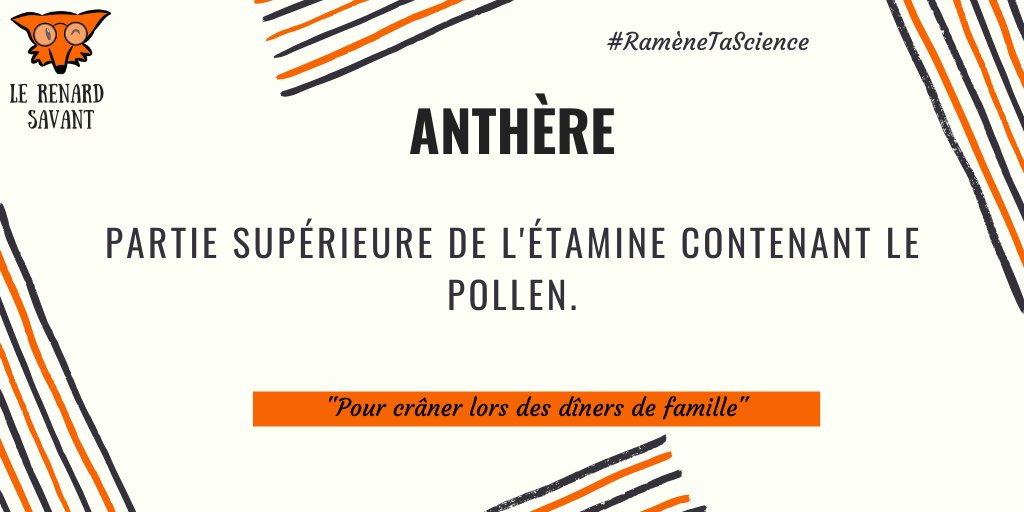 RenardSavant's tweet photo. [Rendez-vous] Tous les jours à 20h30 ⌚
➽ Le savoir sur la nature n'attend plus que vous ! 
#RameneTaScience en nous suivant ! @renardsavant 🦊🔬 https://t.co/mZl2pCq40n