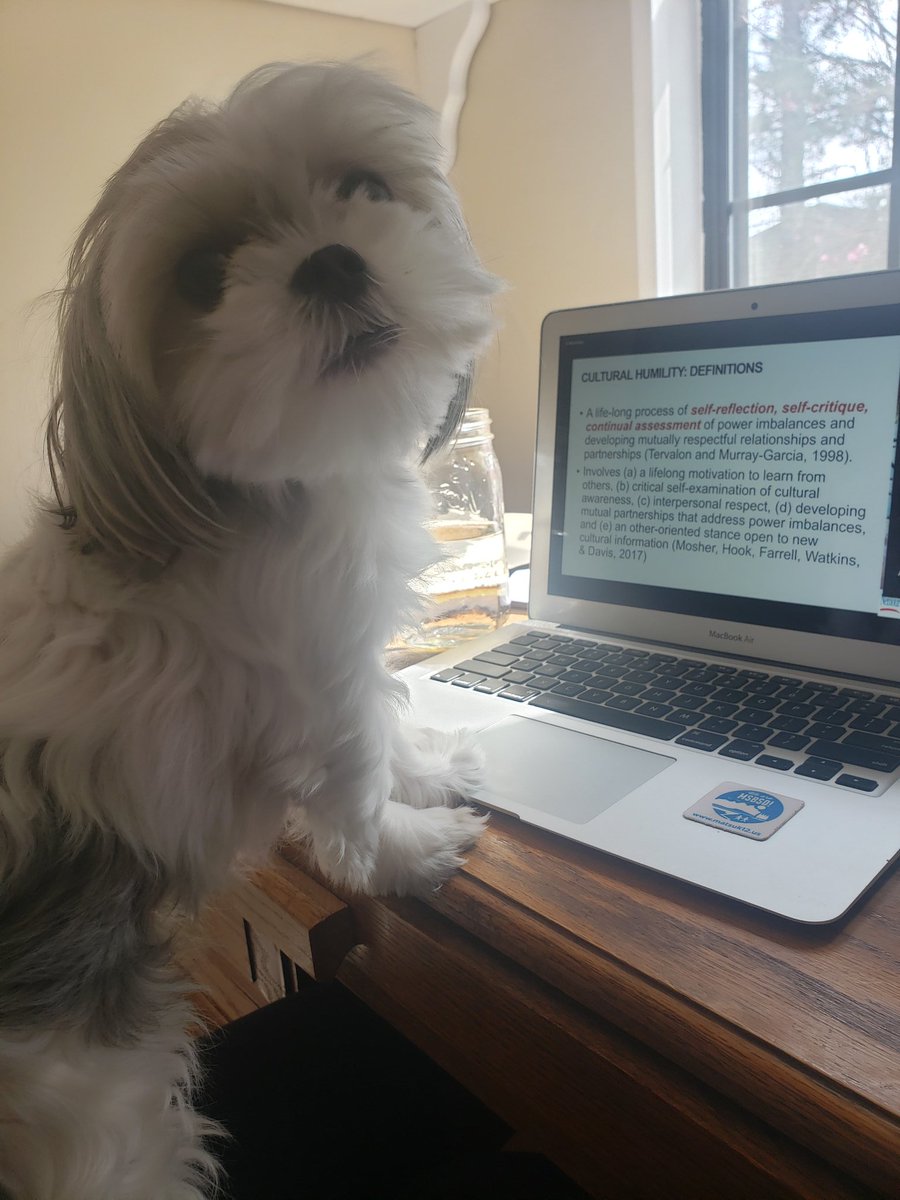 AnaLePage_'s tweet photo. Perk of a virtual conference #SPPAC2020 #pedpsycpups https://t.co/d2bkpLLf1p