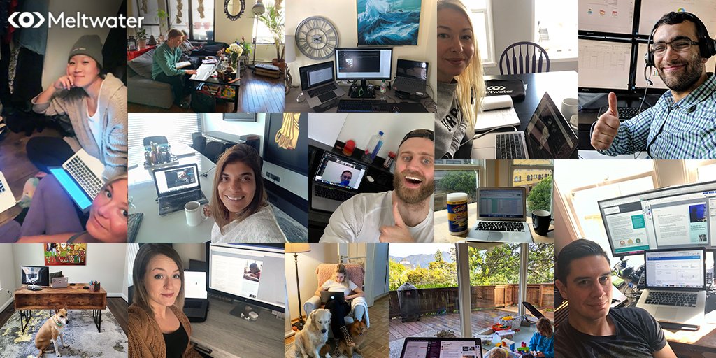 Meltwater's tweet photo. Meltwater #WFH 'offices' have been added around the globe over the last few weeks. We're ready to take on new challenges in this new reality, staying passionate and positive from every location. https://t.co/z5nuVPFZQY
