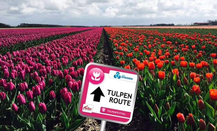 Ook onze organisatie wordt getroffen door de ontwikkelingen rondom het Corona virus 😞. Helaas hebben we moeten besluiten om het <a href="/StEPTulpen/">StEP Tulpenfestival</a> festival niet door te laten gaan en af te moeten lassen
#coronavirusNederland #Tulpenfestival #geentulpenroutes
