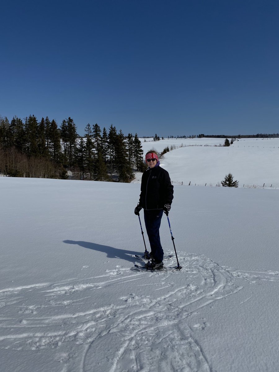 frmpei's tweet photo. Getting some exercise on the beautiful sunny day😎#lovepei #lovetolivehere https://t.co/cuTpxPggir