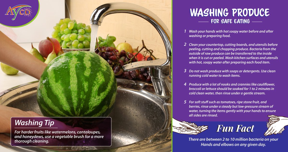 Aycofarms's tweet photo. Maintaining good levels of fruits and vegetables in your diet is essential for keeping the body's defenses strong. Here are a few tips on properly cleaning produce for safe eating.
#Produce #Watermelon #Fuits #Vegetables #FoodSafety #WashingVegetables #HealthyFood #Healthy https://t.co/eFDXieUqqr