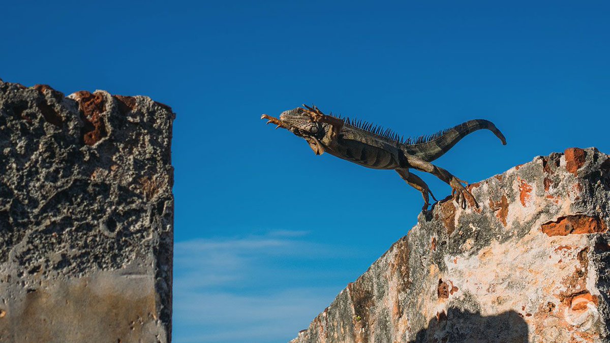 LTParentLife's tweet image. "Memes are a way of avoiding the pain... they’re those universally relatable things that can make teens feel less alone in struggles, and can help them find amusement, even in unpleasant situations."

Read the full Parent Life blog here:
buff.ly/2U76Ebf