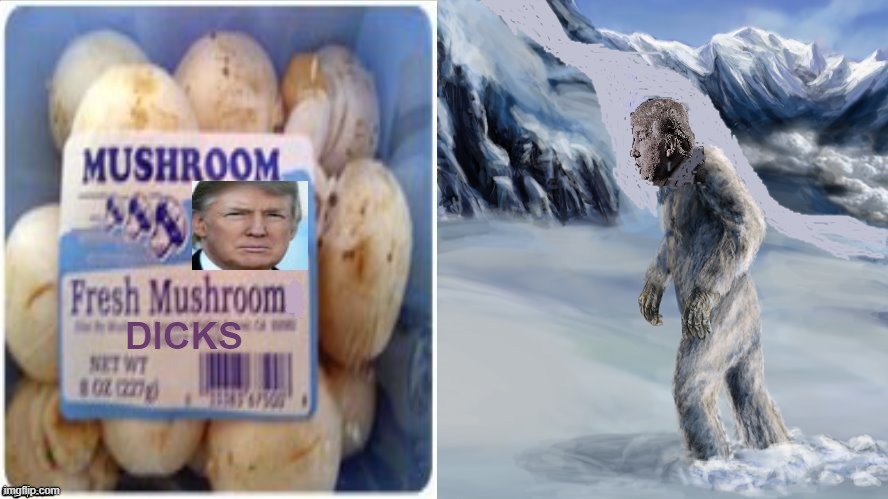 therealwombat1's tweet photo. @RSepeta @Bing7789 @nitenurse2 @TheSteveTheCat @firedup79 @RabbiJill @emigre80 @pithypacky @MrTamhas @NYCanegirl @MichaelGaree @Boschii @GangstaMimi @Utleyjacobite @tulipglory I #TINY Porn Star!
(With A #MushroomDick And #YetiPubes!)
๐ ๐คฃ ๐ ๐ ๐
https://t.co/WkkIvJPPwI