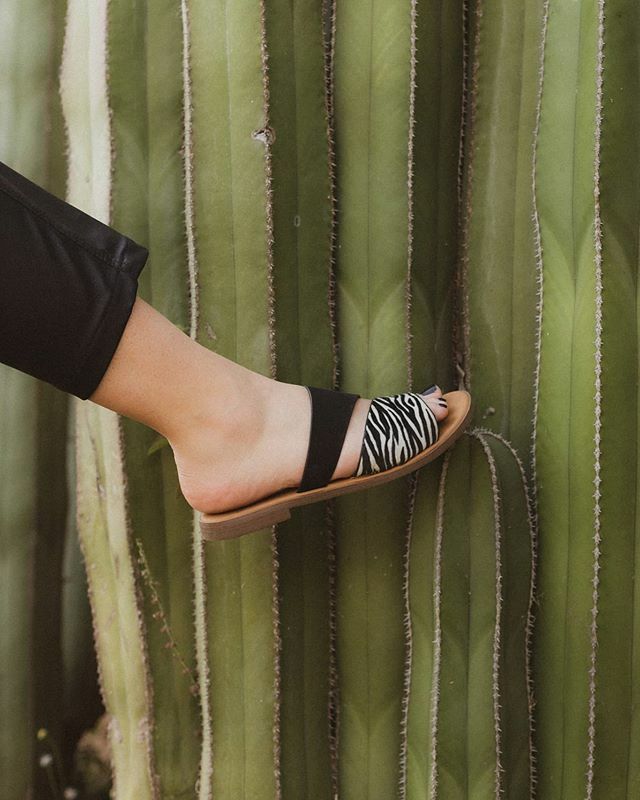MajorTrendBlog's tweet photo. La "Chancla" que te hará ver de impacto aunque sea un día extra casual 🖤🔥😎
Recuerda que tenemos ENVÍO GRATIS por tiempo limitado con el código: 40NA

#SCTYShoes #hechoenmexico #TheMexaSociety https://t.co/v5ksAbJBFG https://t.co/AcLnResRHw