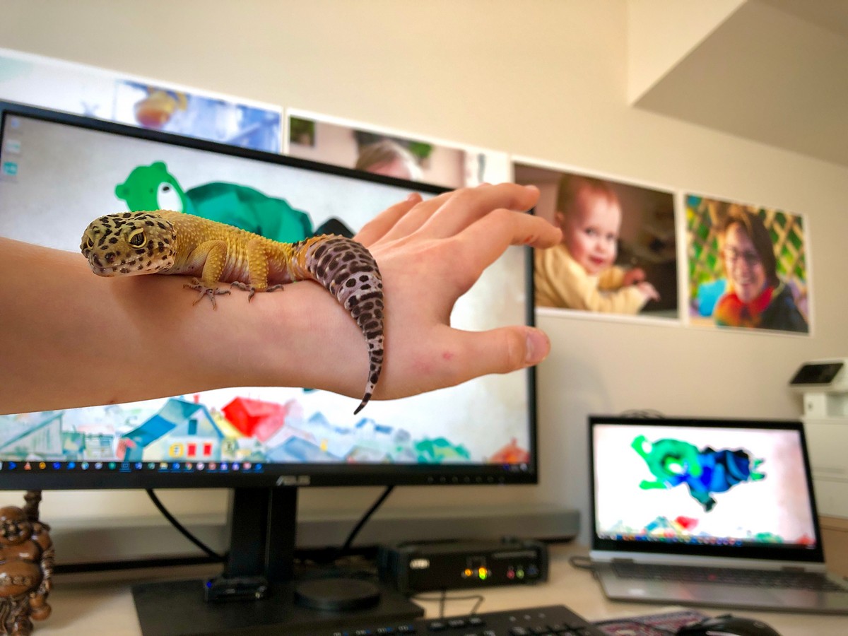 see7tee's tweet photo. #Socialdistancing can be 😜! Python Cleopatra is getting ready for @craiu webinar on #YARA magic. Gecko Robin feeling good after installing the latest Windows updates. And another beautiful lady makes sure my home office is doing OK.
#kasperskylife #workingfromhome https://t.co/NRtKCIN1k9