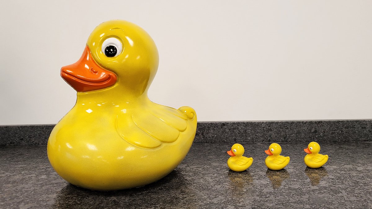 We've got our ducks in a row...literally. To celebrate the arrival of spring, our culinary team created this massive chocolate duck…and a few baby ducks to go along with it. You can grab one of the small duck molds for yourself on our website (search H-821).🦆🦆🦆