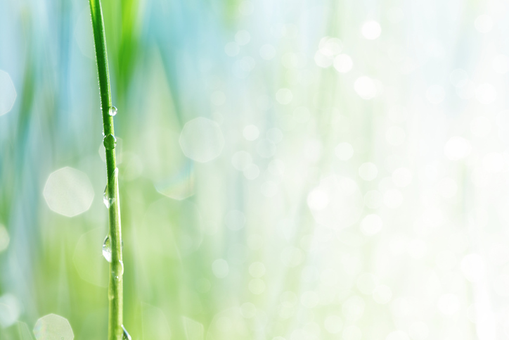 LakeviewVlg's tweet photo. Winter is so last season. Get ready to stow the sweaters, because it’s the first official day of spring! #spring2020 https://t.co/JhrKHpOy4S