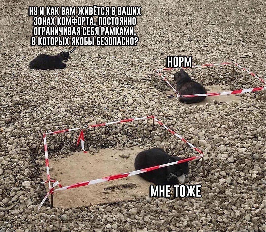 ETfevrLXsAALtXB?format=jpg&name=medium
