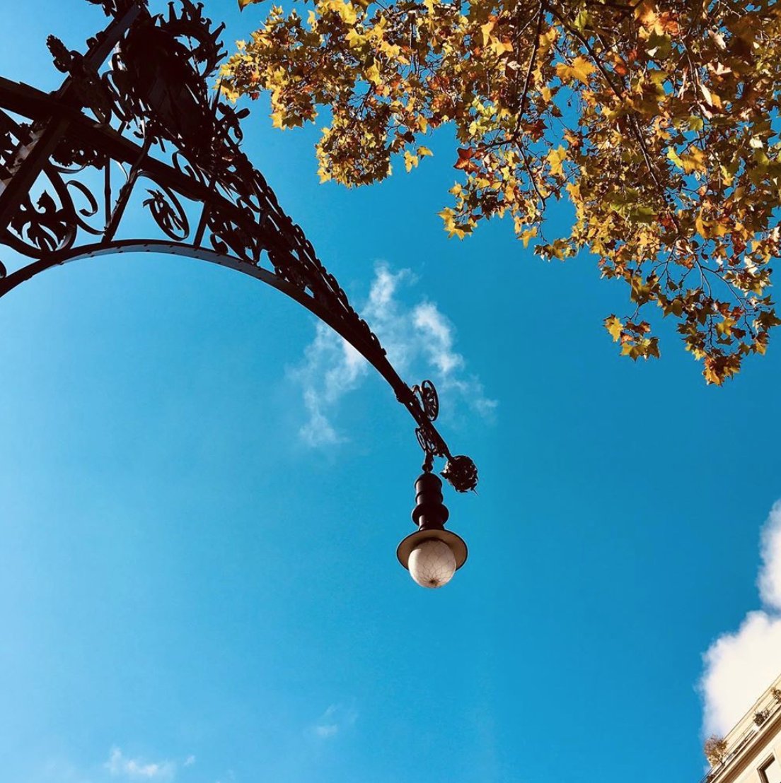 🤔 #SabíasQue... | El #Modernismo catalán no solo dio pie a edificios fuera de serie como la #SagradaFamilia o el Hospital de Sant Pau, sino también a un mobiliario urbano que hoy perdura en diversos rincones de #Barcelona 📸👇🏽