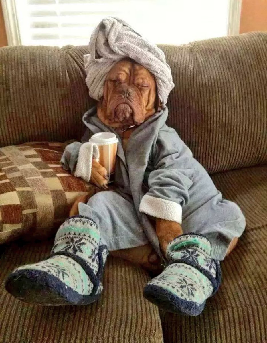 MsNaeNicole's tweet photo. Mood: Quarantine and Netflix https://t.co/INMoqyS5LQ