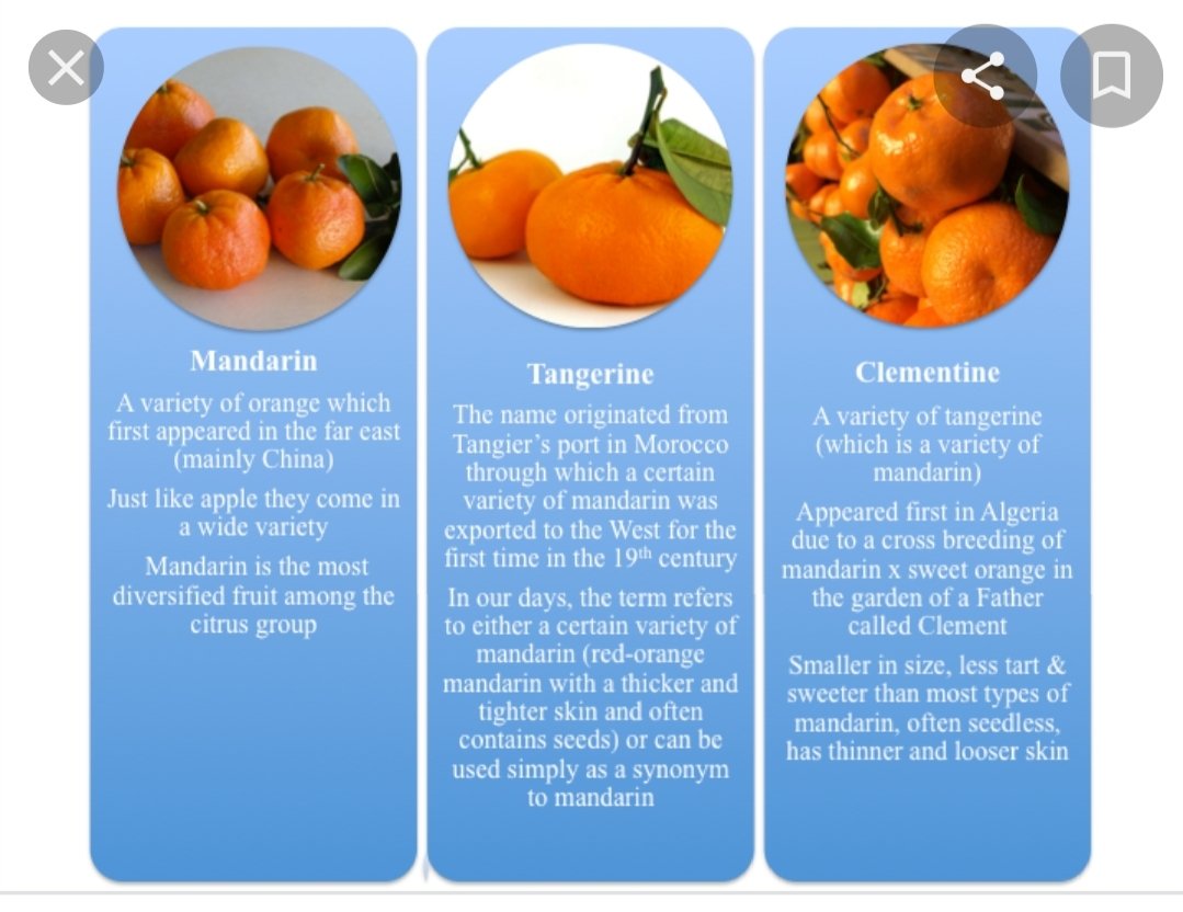 Tangerine vs. Clementine: What's the Difference?