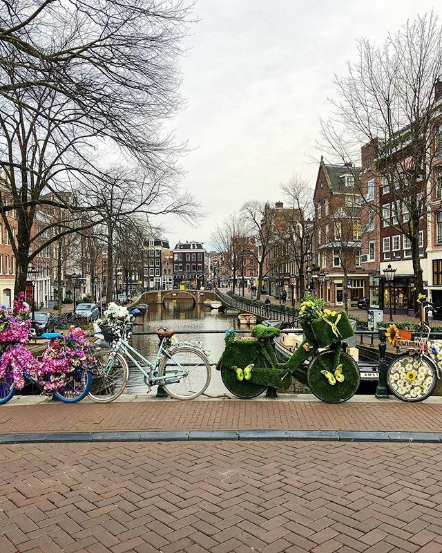 💐🚲 ift.tt/2QwLuRk