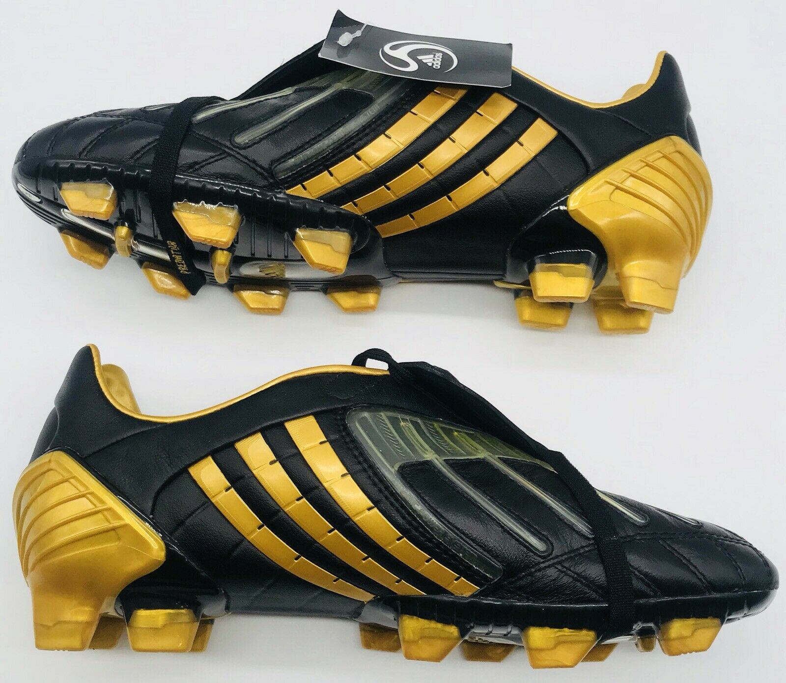 black and gold predators