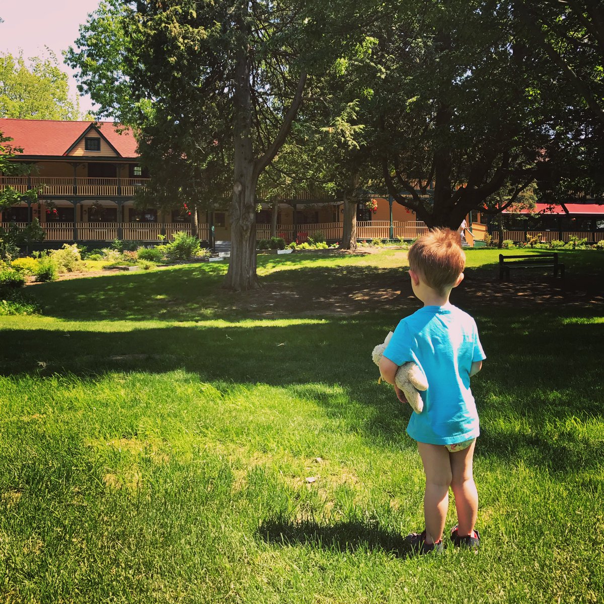 Physical borders can close, but there are no borders for the mind. In this picture I can feel the hazy heat of August, and hear the buzz of dragon flies. I was feeling a burst of love for everything I could see and feel.
#OpiniconStoryTime