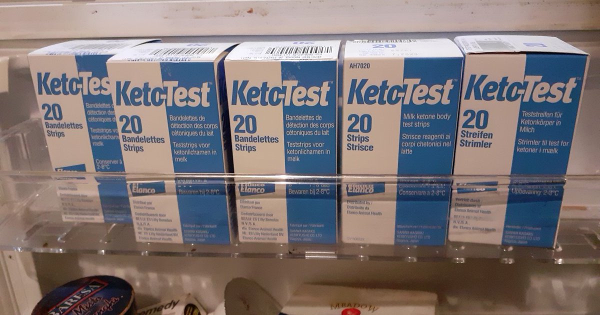 riley_bethan's tweet photo. With all the uncertainty of the last few days it was great being back collecting data today. Working from home has its disadvantages, my fridge door is now full of ketotests #MSc #dissertation #research #SocialDistancing #Livestockscience @ibers_aber @AberUni https://t.co/CuajupRyhw