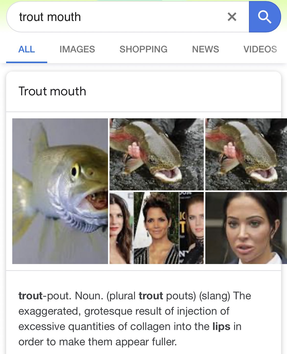 BravoPsychology on X: Trout mouth was one of the BEST most ACCURATE reads  in @BravoTV history! @daniellestaub #RHONJ  / X
