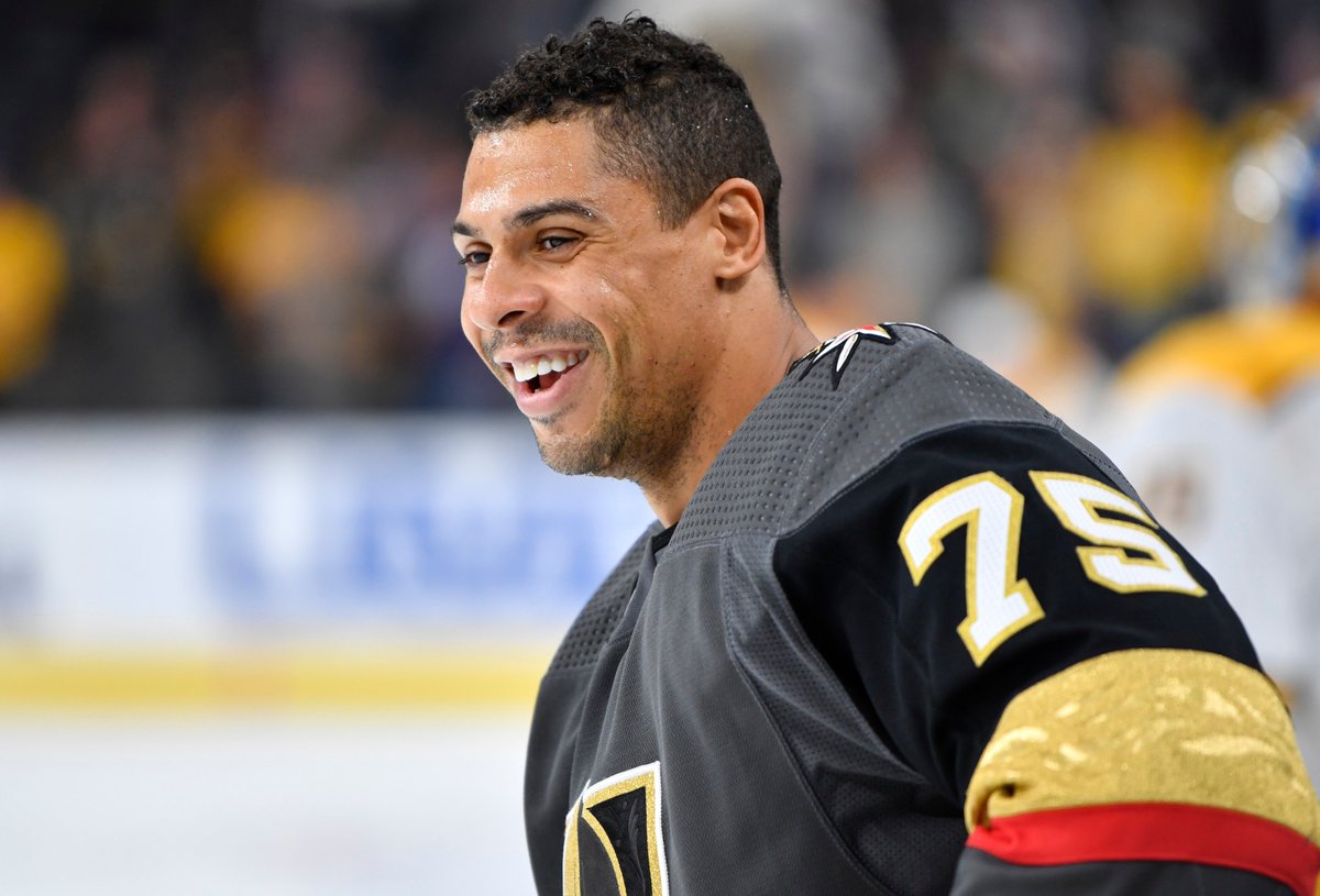 He's a deterrent': How Ryan Reaves' uniquely talented family