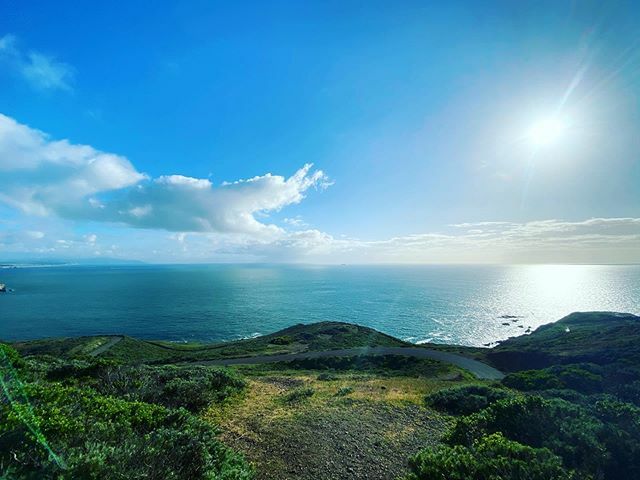 Julio Escarce tweet media