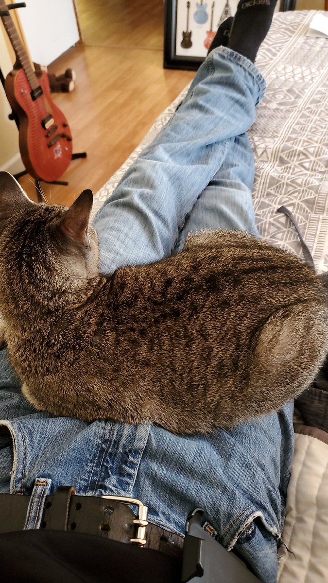 sdmflucky's tweet photo. Damn cat!! https://t.co/2v1hKFcWaa