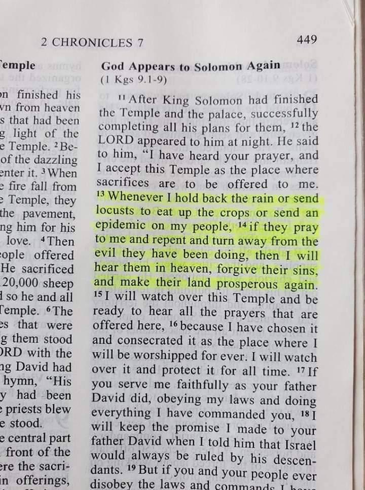 Before you ask why??... It's happening...
Ask... What is this teaching me?