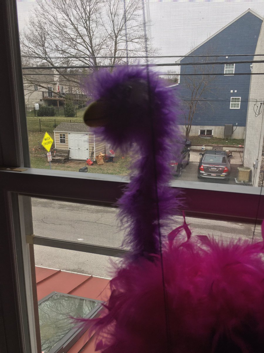 plumlaut's tweet photo. “virus aint shit” - Fred, the evil demon bird that has been hacking our Instagram account

We want you all to know that #coronavirus is no joke... #StaySafeStayHome, #WashYourHands, and STAY AWAY FROM FRED https://t.co/ie4PDJbQFQ