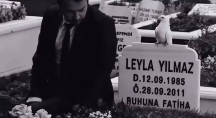 Zeynepoztemur (@thisisincap) on Twitter photo 