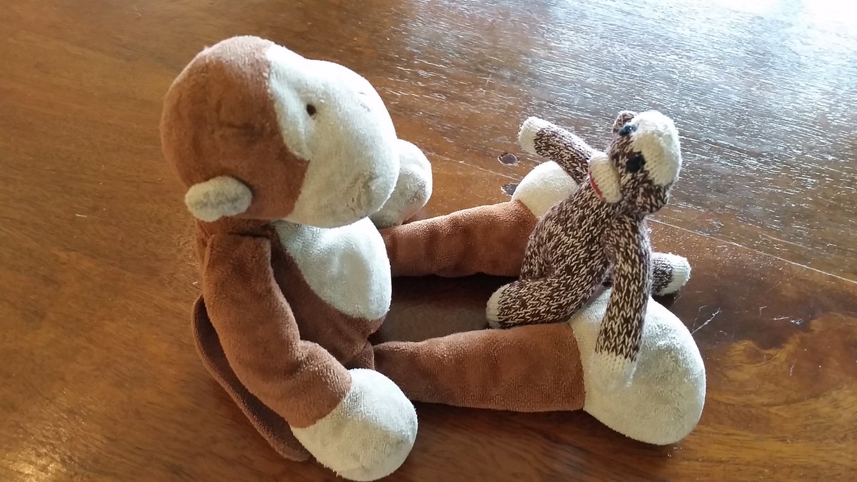 TravelMonk2's tweet photo. @babymonk13 We could do face-to-face Monkey Chow dialogues and also do on the road production of Monkey Time segments!! #MonkeyChow #MonkeyTimeSegment https://t.co/Yf3CN2iXQ7