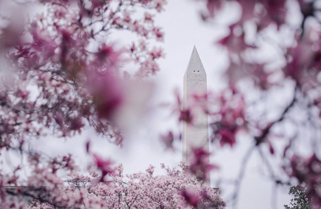 Your Take tweet media