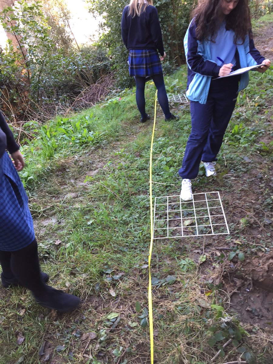 JonHaleBio's tweet image. Quadrats and transects was not the expected lesson from the students this morning, but it gave them a nice opportunity to engage with nature. #GCSEs #RequiredPracticals