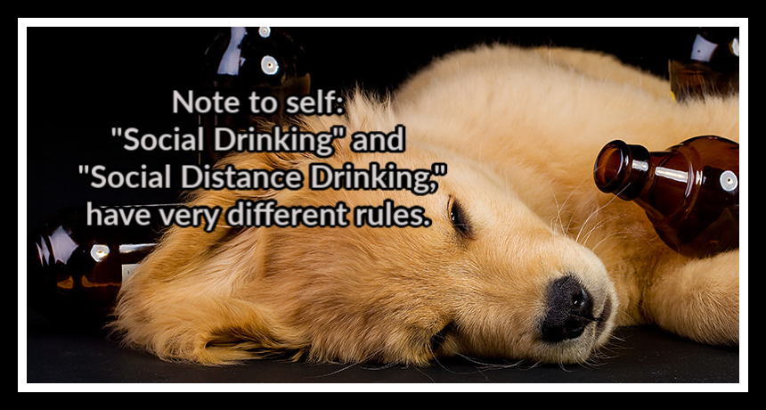 dirtyharryspub's tweet photo. It's Thirsty Thursday and all the bars are closed. Be careful with your new drinking buddies! 
#StayHealthy #DirtyHarrys https://t.co/OwOYhrajhJ