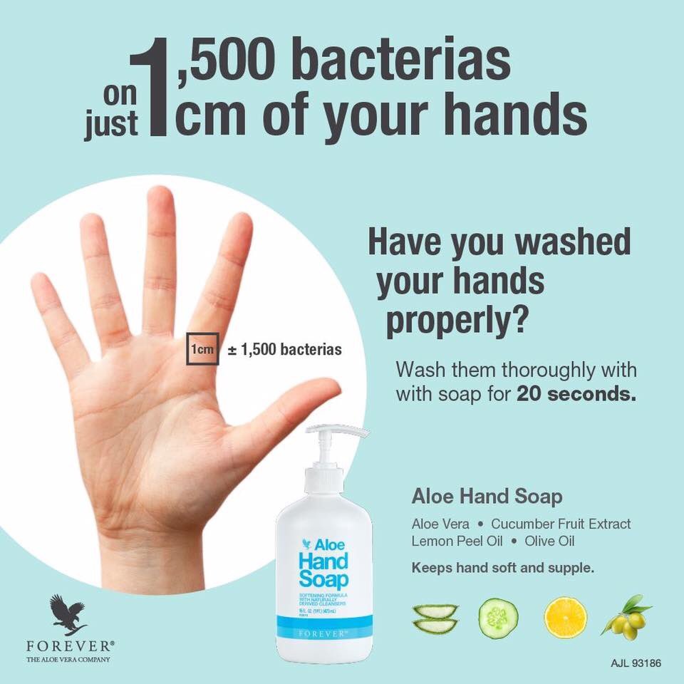 blanderic's tweet image. Aloe #HandSoap is infused with cucumber fruit extract, lemon peel oil and olive oil to exponentially boost its moisturizing powers. Order online at earnlivegreen-aloehandsoap.gr8.com #handwashing #handwashed #handwash #washhands #coronavirus #washyourhands #covıd19 #covid_19