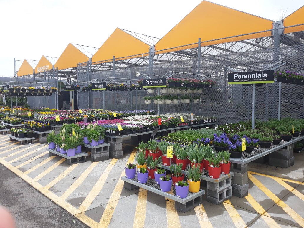 Norlia Sumpter (@norliasumpter) on Twitter photo Lots of #Spring color to keep you busy outside! #HomeDepot 736 Oak Ridge, TN #getoutside #garden #sunnydays #plants <a href="/jaybisping/">Jay</a> <a href="/7Karthur/">Kim Arthur</a> <a href="/KimDay59187302/">Kim Day</a> <a href="/Stephen_E_Camp/">Stephen Camp</a> <a href="/DyerEric18/">Eric Dyer</a> @PPSinHD Lots of #Spring color to keep you busy outside! #HomeDepot 736 Oak Ridge, TN #getoutside #garden #sunnydays #plants <a href="/jaybisping/">Jay</a> <a href="/7Karthur/">Kim Arthur</a> <a href="/KimDay59187302/">Kim Day</a> <a href="/Stephen_E_Camp/">Stephen Camp</a> <a href="/DyerEric18/">Eric Dyer</a> @PPSinHD