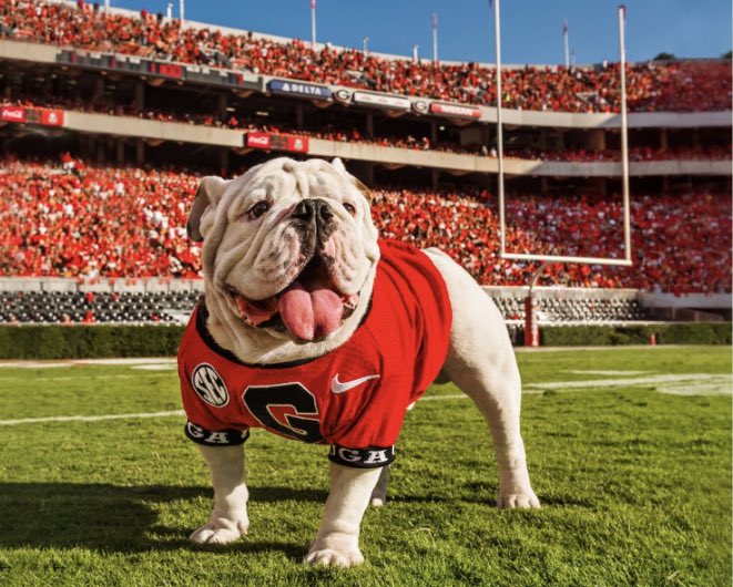 foreignaaron's tweet photo. I would like to thank the Georgia coaching staff for blessing me with scholarship offer to play with one of the best programs in the nation #GoBulldogs @CoachMessay @BrianDohn247 @CoachDanLanning @Rivalsfbcamps @TheOpening @DemetricDWarren @SFAfootball_MD https://t.co/s5N4PCSRV5