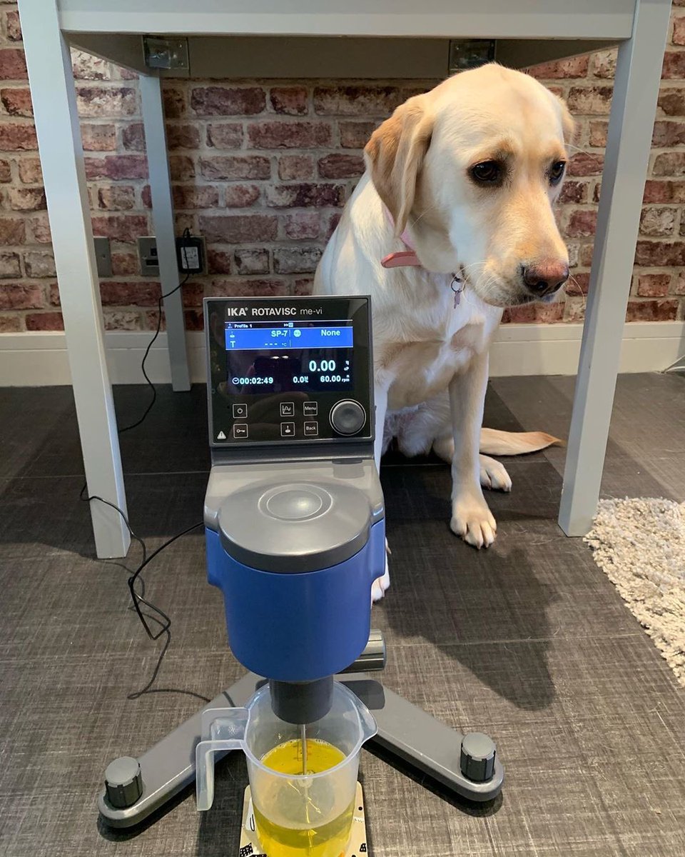Teaching our “lab” partner about #socialdistancing 🐶💙