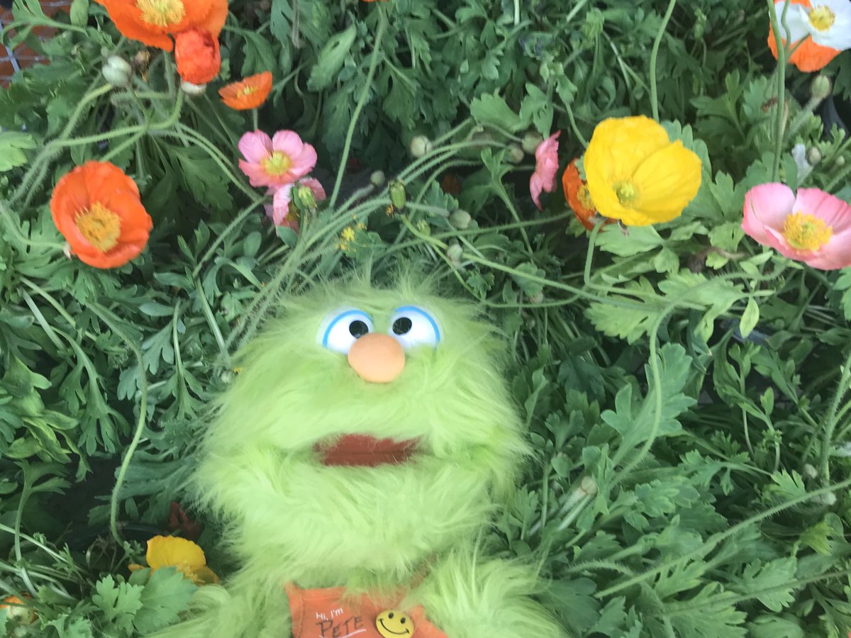 Pipeline Pete (@hdpipeline_pete) on Twitter photo 🌺It’s the First Day of Spring 🌸 Don’t forget we can help you with all of your home improvement projects #Doitforme #FindKnowGrow #ServeUpServices <a href="/tavares_gabe/">TavaresGabe</a> <a href="/CarpenterTrina1/">Trina Carpenter 🐾</a> <a href="/JuleeEckert/">JulieEckert</a> 🌺It’s the First Day of Spring 🌸 Don’t forget we can help you with all of your home improvement projects #Doitforme #FindKnowGrow #ServeUpServices <a href="/tavares_gabe/">TavaresGabe</a> <a href="/CarpenterTrina1/">Trina Carpenter 🐾</a> <a href="/JuleeEckert/">JulieEckert</a>