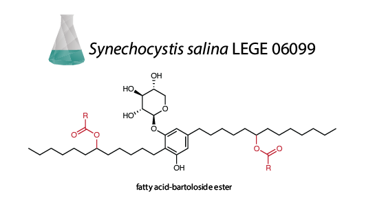Leão Lab - CIIMAR (U.Porto) tweet media