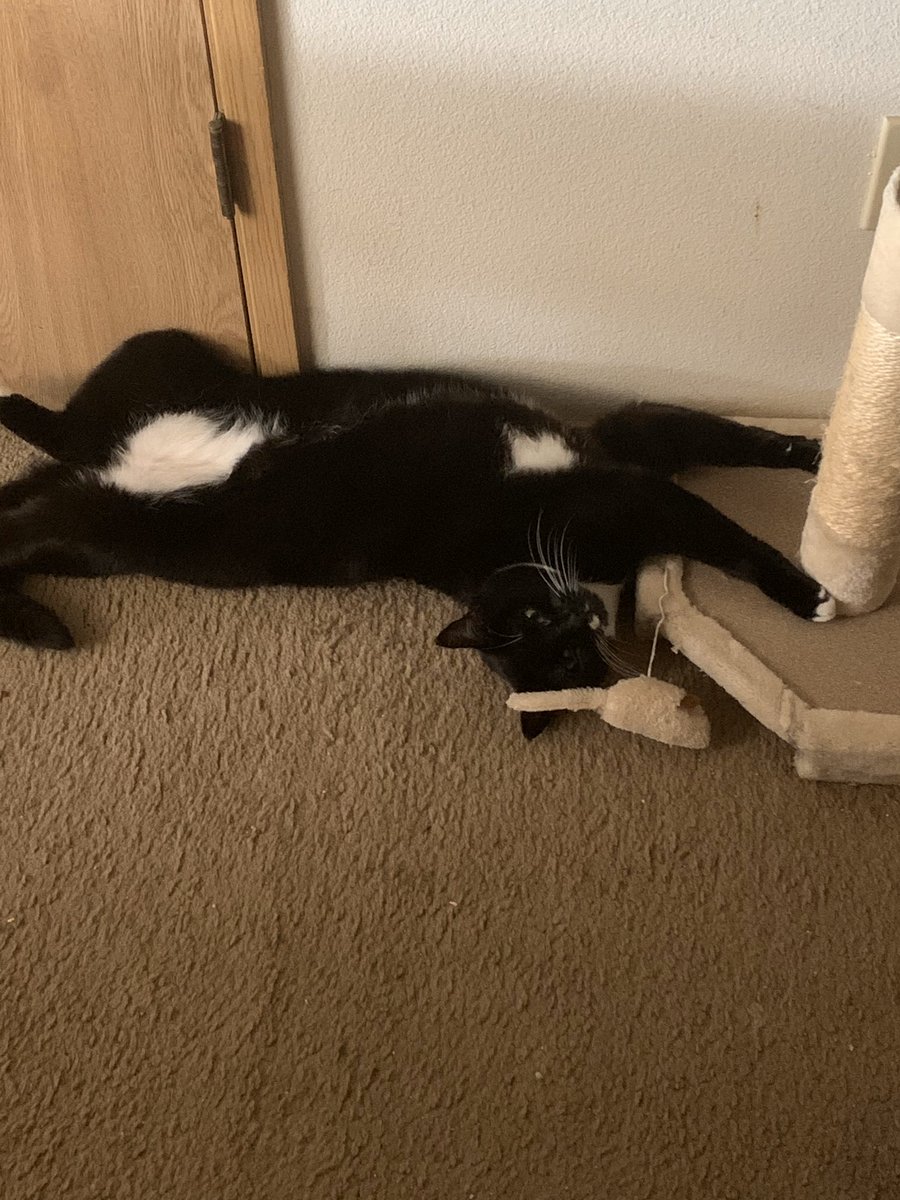 BobbiReads's tweet photo. #MyFatty https://t.co/mRjXLziIAn