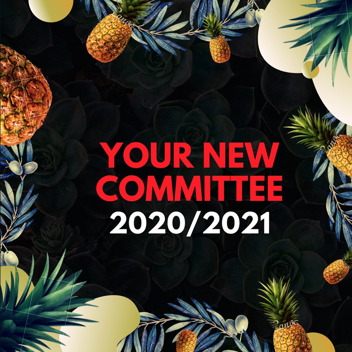 EU_ACS's tweet photo. We will be releasing the results and revealing the new committee at 12pm tomorrow so keep an eye out 👀👀!! Thank you to all our members who voted and goodluck to all our outstanding candidates!! https://t.co/etM45pNSaC
