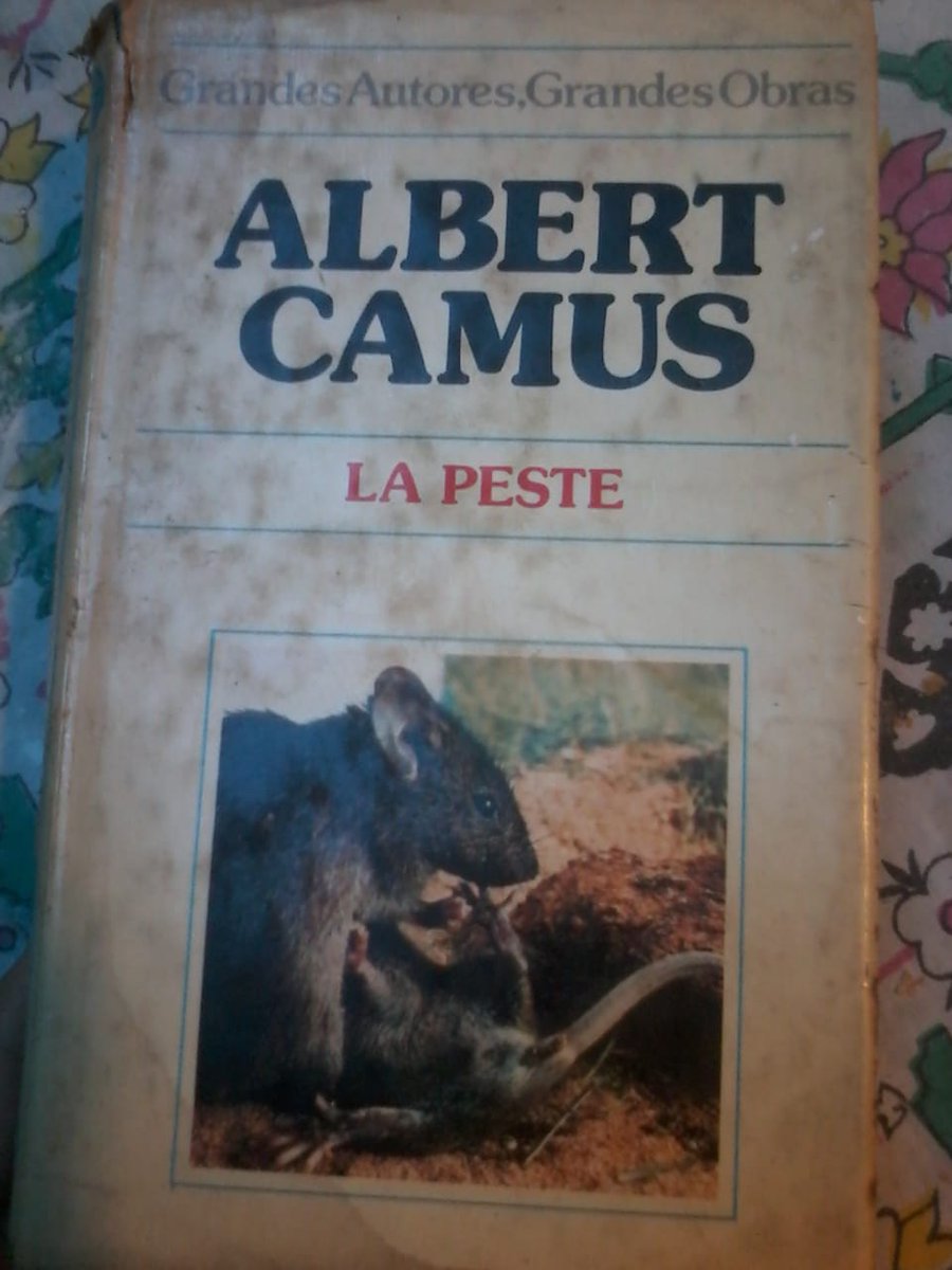 SebaPandolfelli's tweet image. Literatura / Realidad