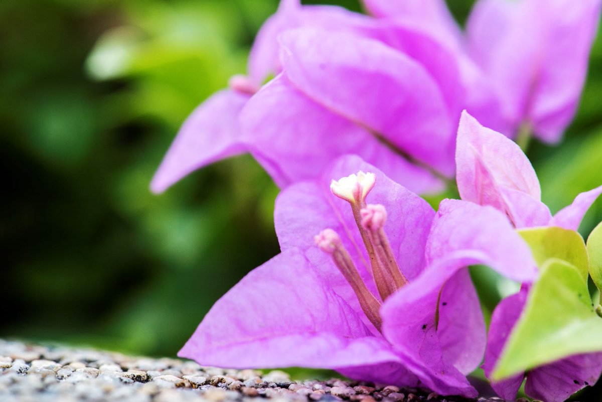 INTERNATIONAL DAY OF HAPPINESS!
With all that is happening in the world right now, this is a beautiful day to celebrate and find some happy. What makes you happy? 
#internationaldayofhappiness #findyourhappy