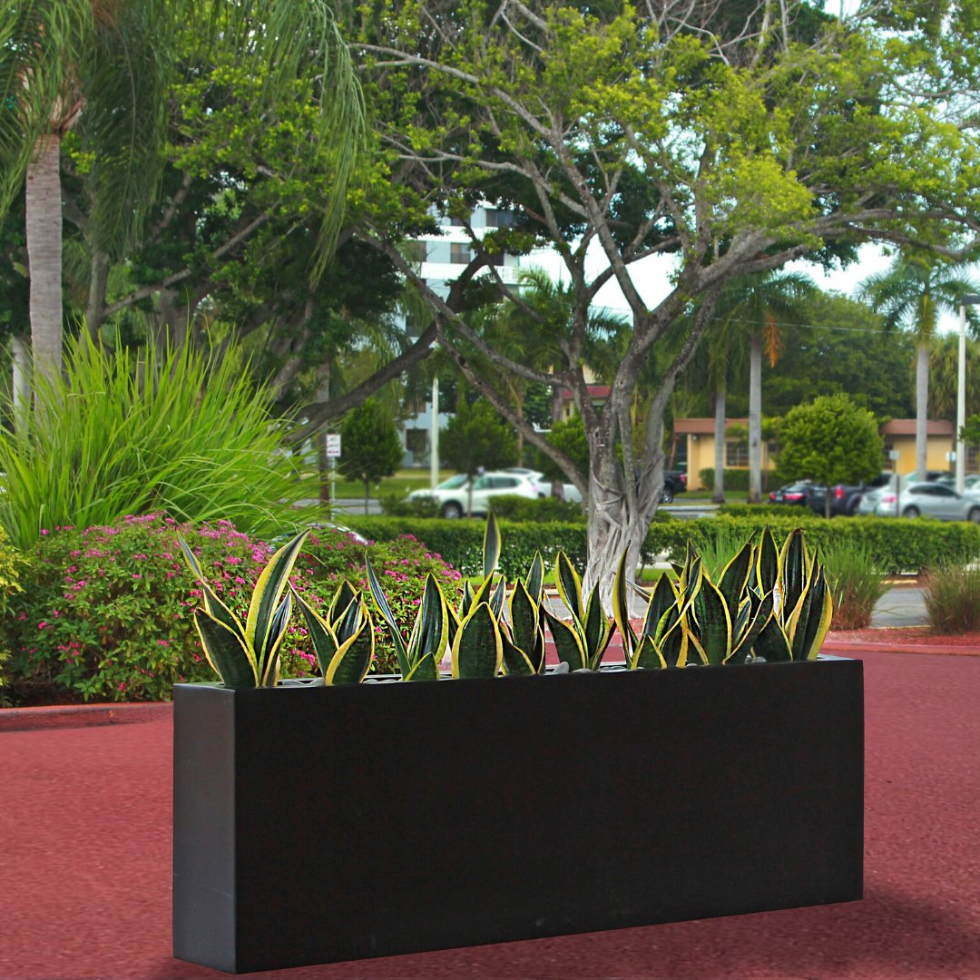 Looking for plants with the best air-cleaning abilities? NASA has 18 suggestions for you. hubs.ly/H0nJ-Sy0