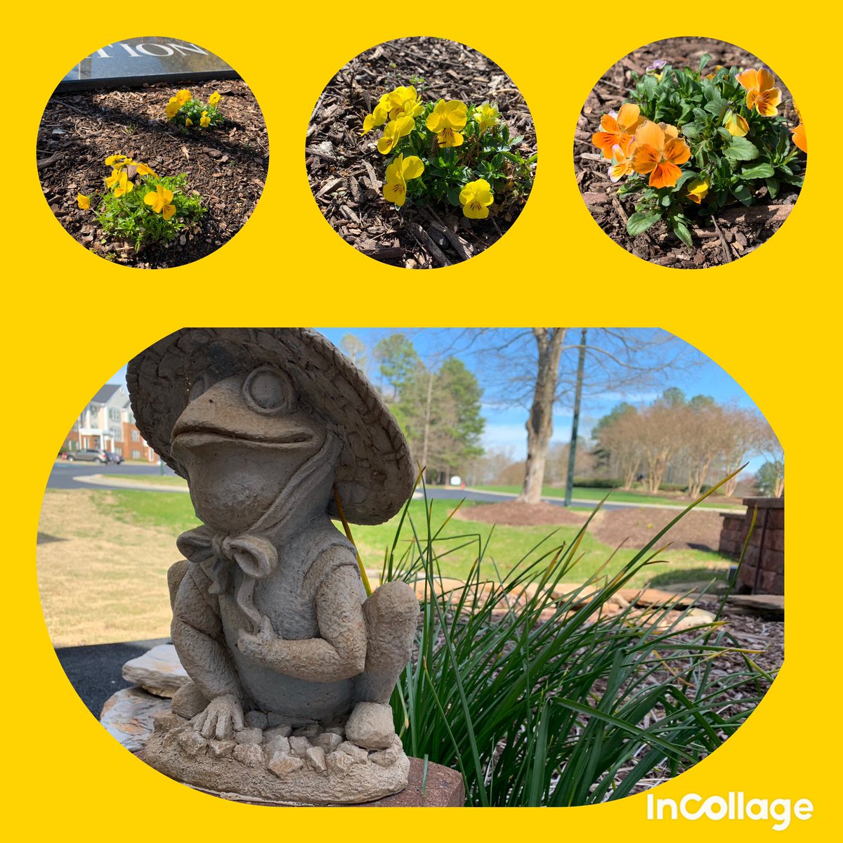 Paradise Activities in Williamsburg tweet media