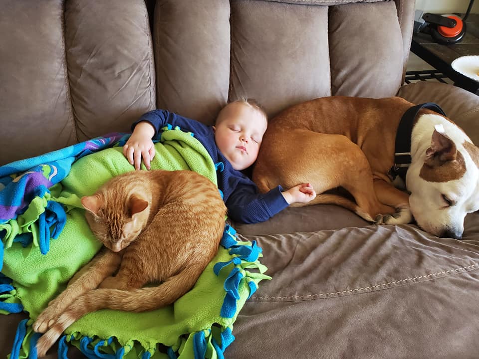 MichianaHumane's tweet photo. Please read this update on the Michiana Humane Society's response to the coronavirus outbreak. https://t.co/FwBRXTsfDQ https://t.co/h0EOBPIV34