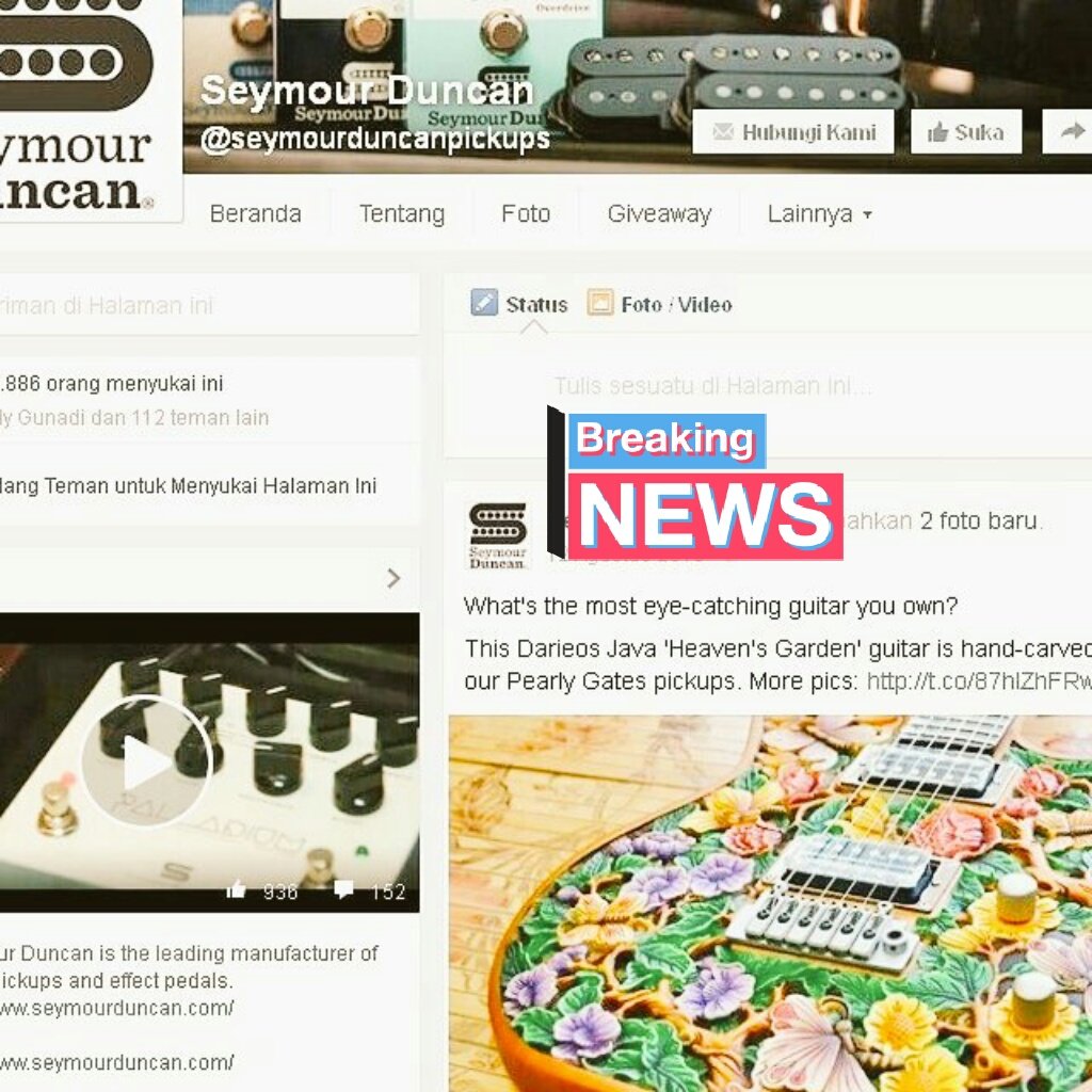 ANTZ MUSIC tweet media