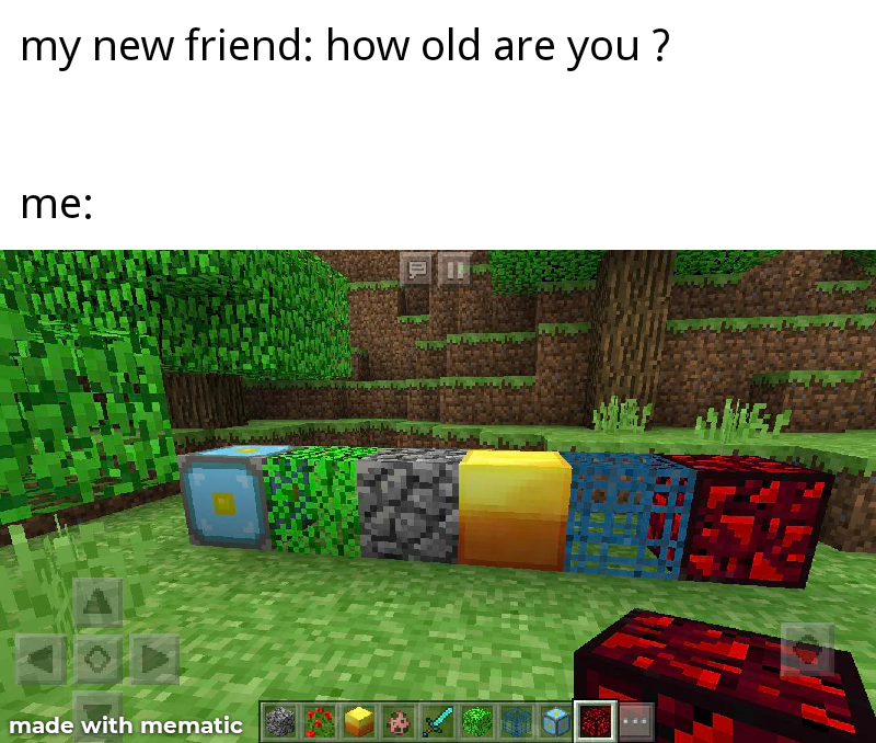 Minecraft Memes 𝐇𝐎𝐋𝐃 𝐌𝐘 𝐁𝐄𝐄𝐑