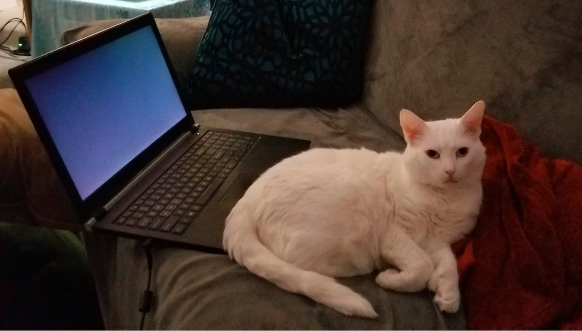 In these crazy times, a whole lot of people are now working from home. If you’re a manager wondering how best to work with a remote team, TFS’s Mike H has some great tips here:
buff.ly/3dh1Ozm

#askamanager #remotework #technology #teamwork   #gamingnews #indiedev