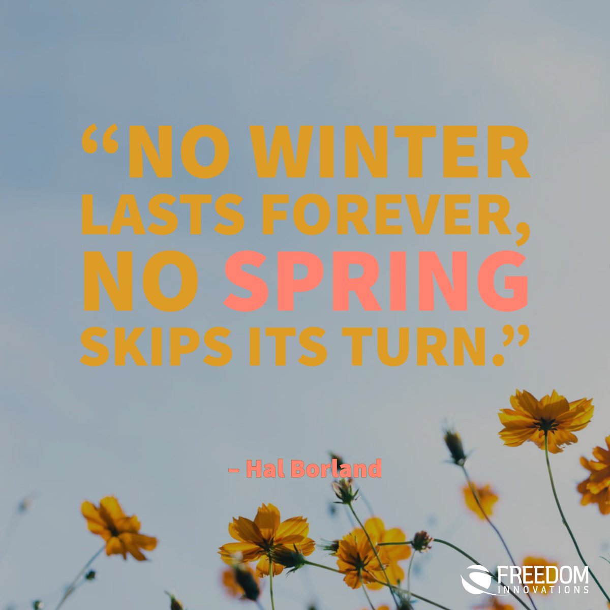 FreedomInnovate's tweet image. Happy First Day of Spring! ☀️🌸

Winter is over and Spring is here at last. Let this new season serve as a reminder that no matter how tough things get, we will get through it in time.

#happyspring #springquotes #newseason #thingswillgetbetter #timehealsall #halborland