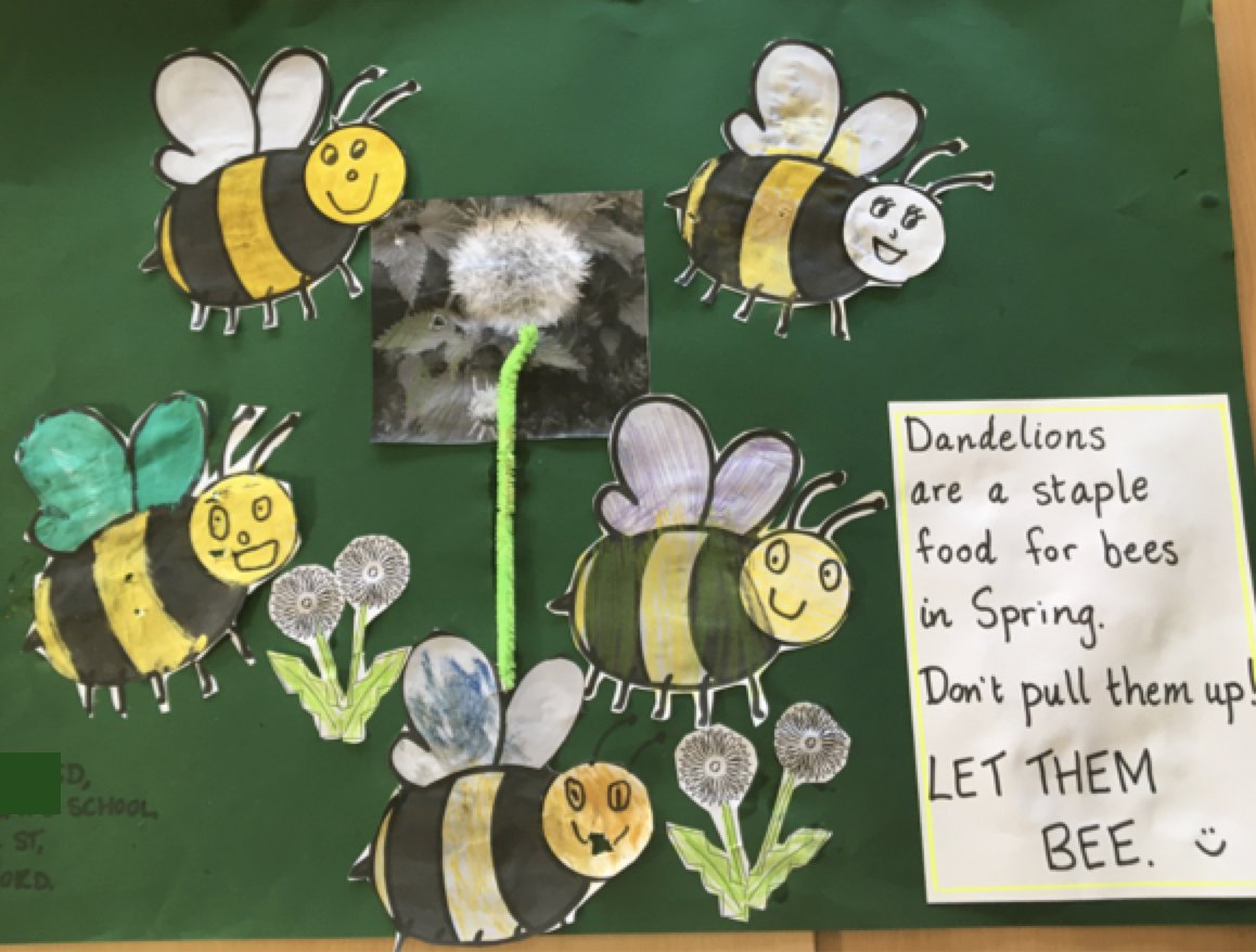 DandelionsBee's tweet photo. Hope everyone is keeping well and safe. Our schools competitions are still running – open til 3rd April - be sure to pass an hour or so drawing up an entry 😃. See https://t.co/47B830CDcp for entry details. Here's a beauty from St Martin’s Special School in Waterford ❤️ https://t.co/znzbxeAWJP