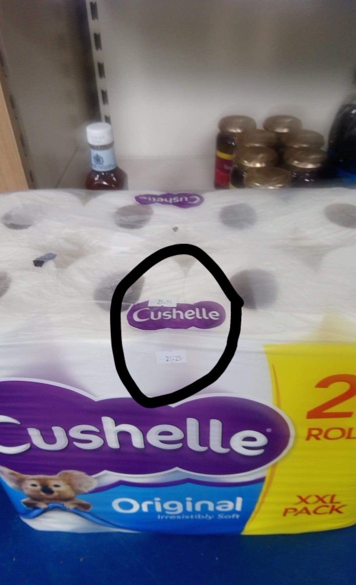 IwasTheRealDanieltheSpaniel tweet media